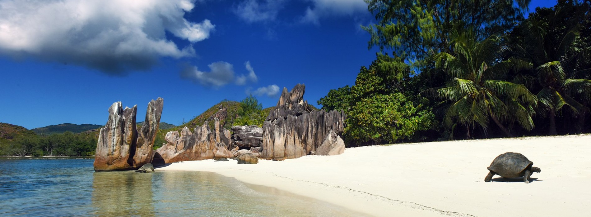 Seychelles lifts ban on Indian travellers with immediate effect