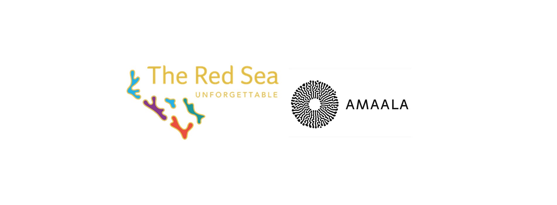 The Red Sea Development Company partners with Think Strawberries to represent Saudi luxury giga projects within India