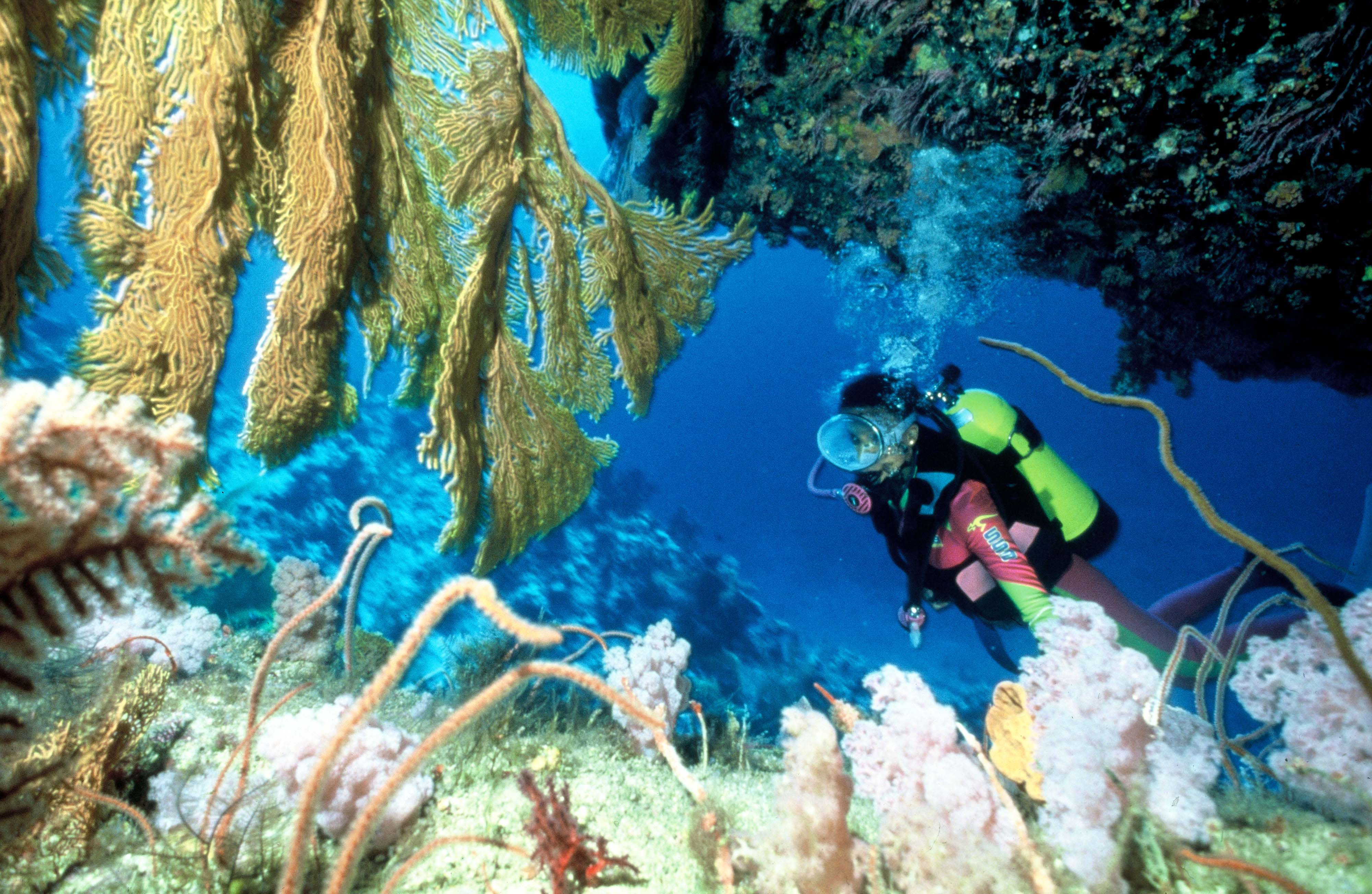 underwater Maldives