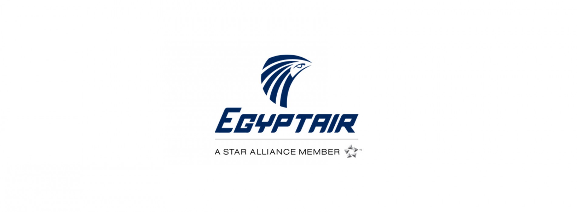 EgyptAir Plans Expansion of Cairo-Delhi Service to Daily Flights
