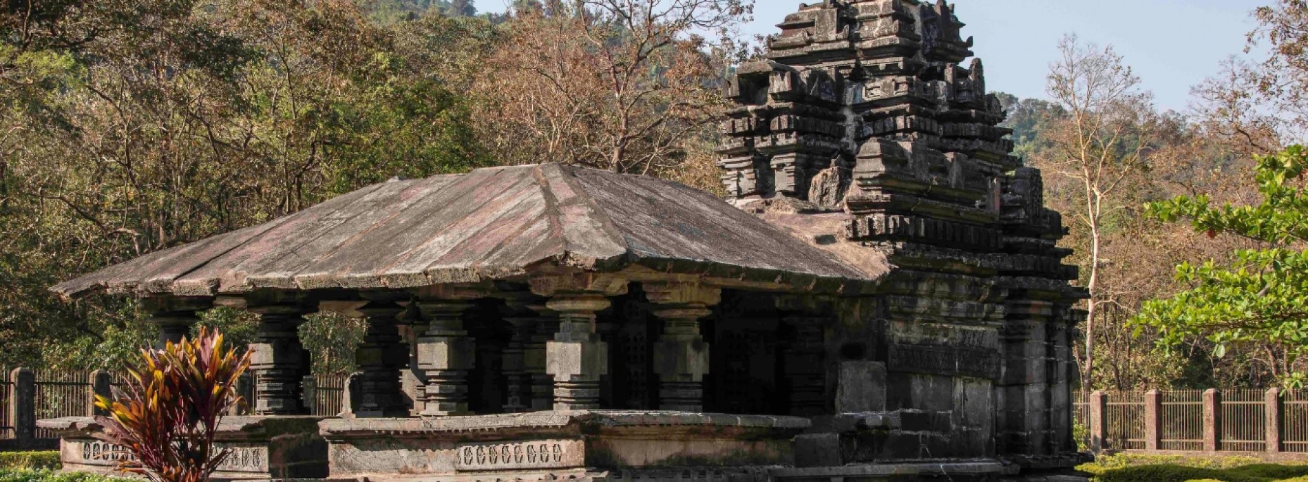 Exploring Beyond Beaches: Goa’s Evolving Tourism Landscape