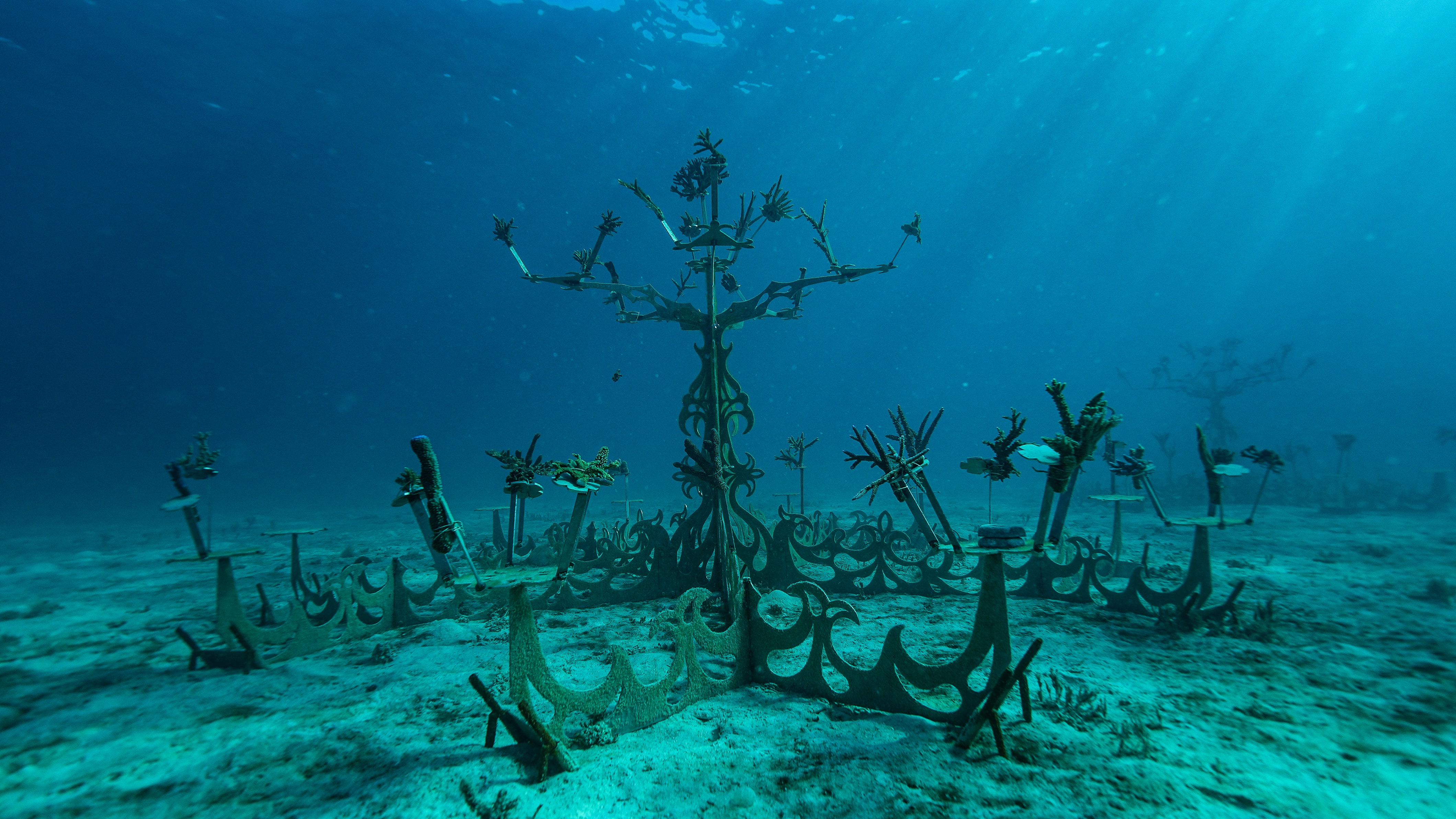 Castaway Island x Counting Coral 14-min