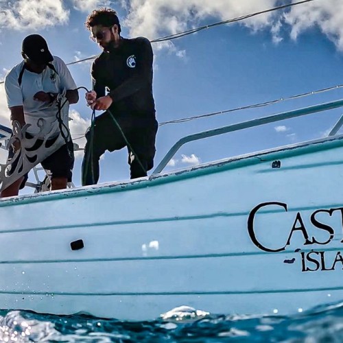 Castaway Island Wins Global Award for Leadership in Coral  Reef Restoration