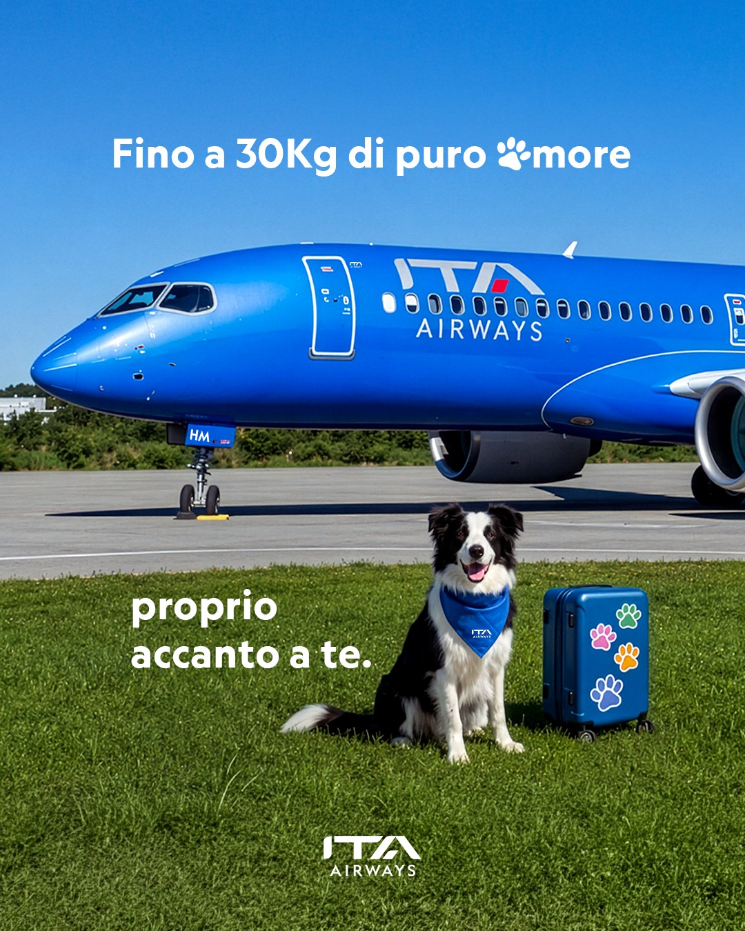 Immagine voli Large Dog